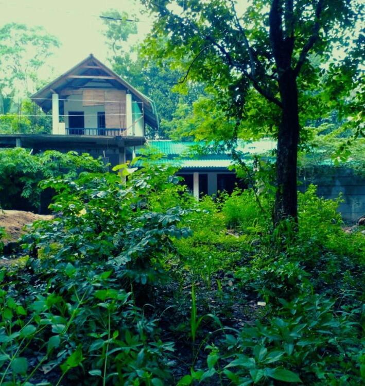 Habarana Dulwan Guest House Exterior photo